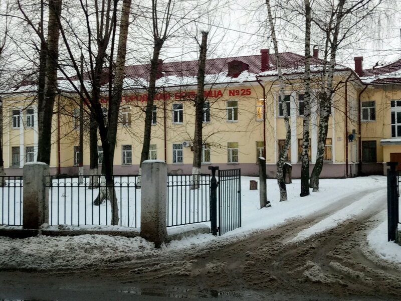 ГБУЗ НО «ДЕТСКАЯ ГОРОДСКАЯ БОЛЬНИЦА № 25 АВТОЗАВОДСКОГО РАЙОНА Г. НИЖНЕГО НОВГОРОДА»: фотография 2